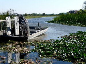 Parque Nacional Everglades. Autor http2007 de Flickr.