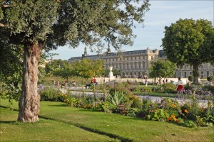 Jardin des Tuileries. Autor dalbera de Flickr.