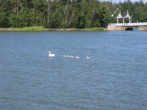 Parque Seurasaari. Autor hsivonen de Flickr.