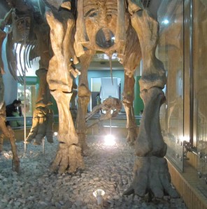 Museo Historia Natural. Autor IvanWalsh.com de Flickr.