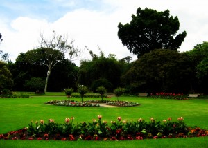 Parque Domain. Autor Elmastudio de Flickr.