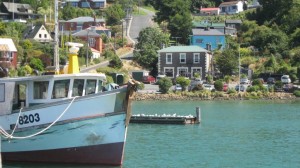 Bahía de Dunedin. Autor Sarah M Stewart de Flickr.