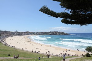 Bondi. Autor 4nitsirk de Flickr.