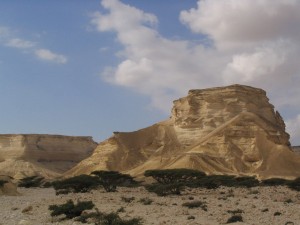 Cañon Oman. Autor loufi de Flickr.