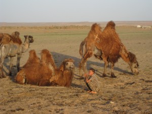 Gobi. Autor feserc de Flickr.