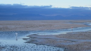 Salar de Atacama. Autor Otavio Piske de Flickr. Attribution Some rights reserved by Otavio Piske.
