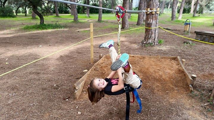 Bosque suspendido